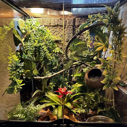 Crested Gecko Coconut Hut,Leopard Gecko Natural Coco Shell Den Reptiles Habitat Durable Hanging Cave Hideouts Plants Climbing Decoration for Amphibians and Small Animals(4 Pcs)
