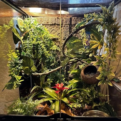 Crested Gecko Coconut Hut,Leopard Gecko Natural Coco Shell Den Reptiles Habitat Durable Hanging Cave Hideouts Plants Climbing Decoration for Amphibians and Small Animals(4 Pcs)