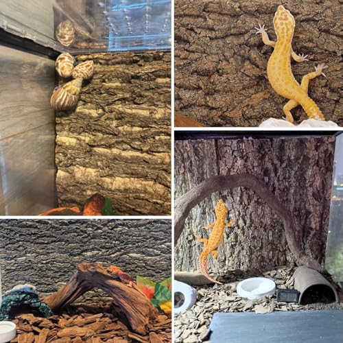 Hamiledyi Cork Terrarium Background 11.8x7.9in 10PCS Natural Reptile Cork Bark Flats Terrarium Board Bearded Dragon Climbing Wall Mat Tank Decor for Lizard Chamelon Snake Turtle Spider Crested Gecko - size: 10PCS-11.8x7.9in