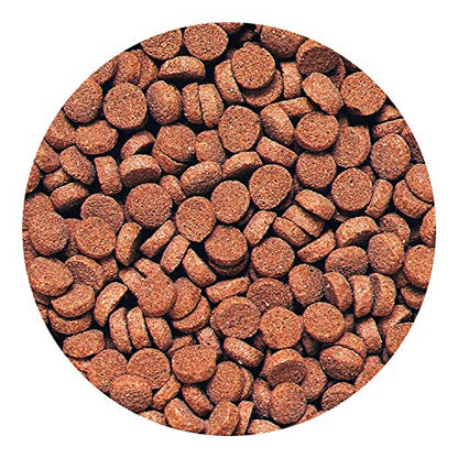 Hikari Sinking Carnivore Pellets for Pets, 2.61-Ounce - size: 2.61 Ounce (Pack of 1)