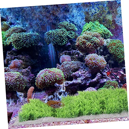 10pcs DIY Aquarium Background Grass Plant Net Stainless Steel Mesh Fish Tank Accessory Easy to Use