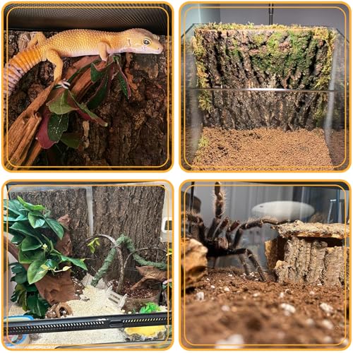 BNOSDM 4PCS Cork Bark Background,11.8" x 7.9" Natural Reptile Terrarium Backdrop, Lizard Climbing Wall Decor for Bearded Dragon Leopard Gecko Snake Chameleon