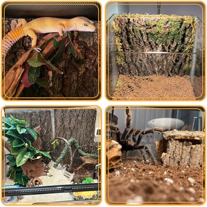 BNOSDM 4PCS Cork Bark Background,11.8" x 7.9" Natural Reptile Terrarium Backdrop, Lizard Climbing Wall Decor for Bearded Dragon Leopard Gecko Snake Chameleon