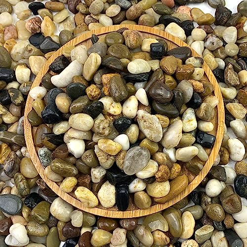 FANTIAN 40 lbs Aquarium Gravel, 2/5 Inch Pea Gravel for Fish Tank, Decorative Rocks for Freshwater Tank, Outdoor Pond, Garden Landscaping, Terrarium, Soil Drainage - size: 2/5 Inch
