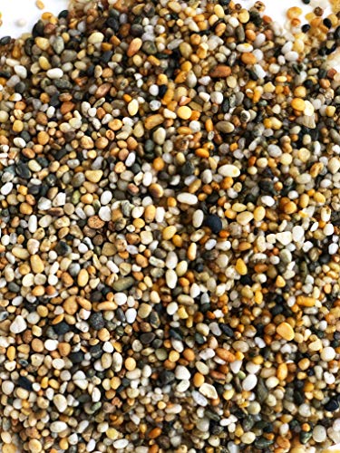Aqua Natural Gold Pearl 10lb Gravel Substrate for Aquariums, terrariums and vivariums, 2-4mm (Pack of 4) - size: 10lb (Pack of 4)