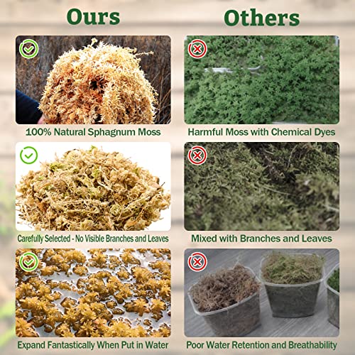 Riare 5.3 OZ Premium Sphagnum Moss for Reptiles 2 Pack Natural Compressed Coconut Fiber Substrate for Reptiles Terrarium Bedding for Tortoise, Frogs, Snakes Hermit Crabs, Burrowing Animals