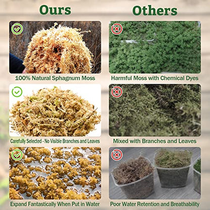 Riare 5.3 OZ Premium Sphagnum Moss for Reptiles 2 Pack Natural Compressed Coconut Fiber Substrate for Reptiles Terrarium Bedding for Tortoise, Frogs, Snakes Hermit Crabs, Burrowing Animals