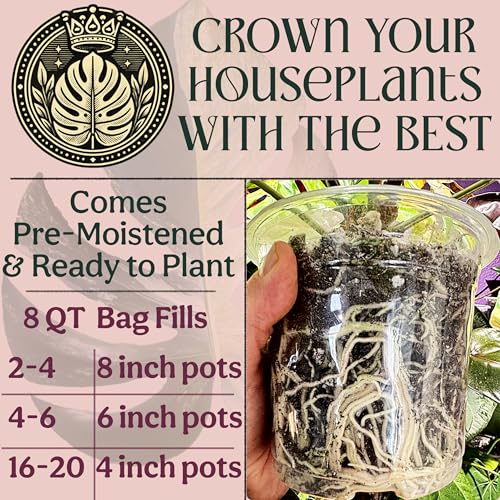 Craft Organic Houseplant Potting Mix, Elite House Plant Soil, Chunky, Well Draining Potting Soil for All Indoor Plants, Tropical Plants & Flowers, Sustainable & Peat Free, Less Prone to Gnats, 8QT - size: 8 quarts