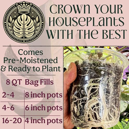 Craft Organic Houseplant Potting Mix, Elite House Plant Soil, Chunky, Well Draining Potting Soil for All Indoor Plants, Tropical Plants & Flowers, Sustainable & Peat Free, Less Prone to Gnats, 8QT - size: 8 quarts