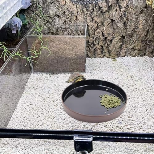 Reptile Feeder Kit, Food Water Bowl, Plastic Round Tortoise Feeding Dish, Amphibian Feeding Bowl, Tank Terrarium Accessories for Bearded Dragon Snake Hermit Crab Turtle Lizard Chameleon - 8 × 8 × 1"