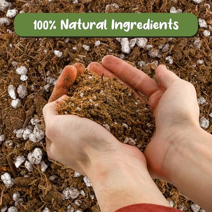 Soil Sunrise Carnivorous Plant Potting Soil Mix (8 Quarts) Ideal Additive for Venus Fly Traps, Sundews, and Pitcher Plants - size: 8 Quarts