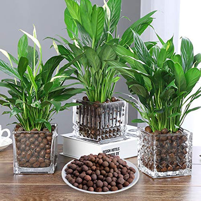 10LBS Leca Expanded Clay Pebbles Hydroponics Supplies for Indoor Garden Plants (10LBS) - size: 10LBS