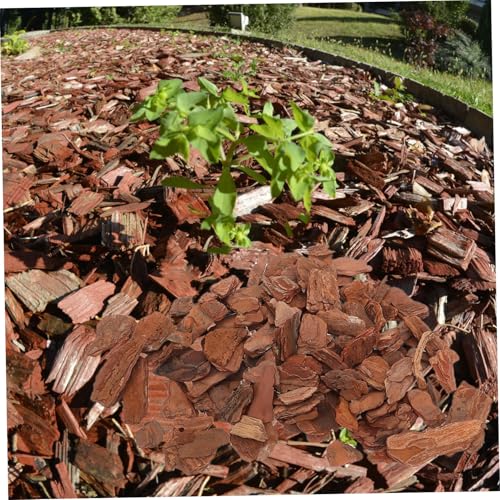 HANABASS 1bag Natural Tree Bark Chips for Reptile Landscaping Decorative Substrate for Terrarium Turtle Tank and Aquarium Safe Bedding for Lizards and Tortoises