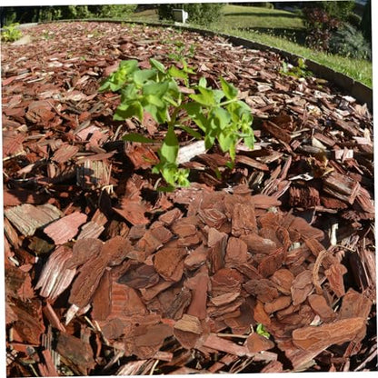 HANABASS 1bag Natural Tree Bark Chips for Reptile Landscaping Decorative Substrate for Terrarium Turtle Tank and Aquarium Safe Bedding for Lizards and Tortoises