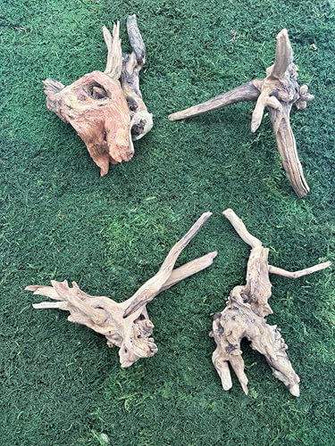 3 Coral Wood Aquarium Decoration Small, Rustic Brown Wood Branch, Reptile Climbing Decor for Terrariums, Fish Tanks 6-10 inches