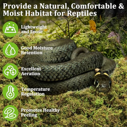 Legigo 3.5 OZ Sphagnum Moss for Reptile- 4 QT Natural Reptile Moss Terrarium Moss Substrate, Snake Tank Moss Peat Moss Reptile Bedding for Snake, Gecko, Ball Python, Frog and Orchids Plants - size: 3.5 OZ