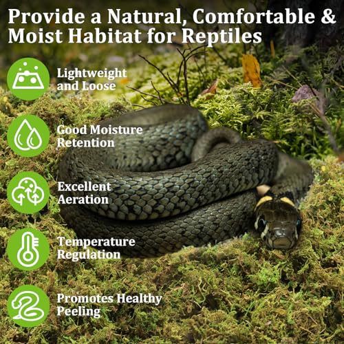 Legigo 3.5 OZ Sphagnum Moss for Reptile- 4 QT Natural Reptile Moss Terrarium Moss Substrate, Snake Tank Moss Peat Moss Reptile Bedding for Snake, Gecko, Ball Python, Frog and Orchids Plants - size: 3.5 OZ