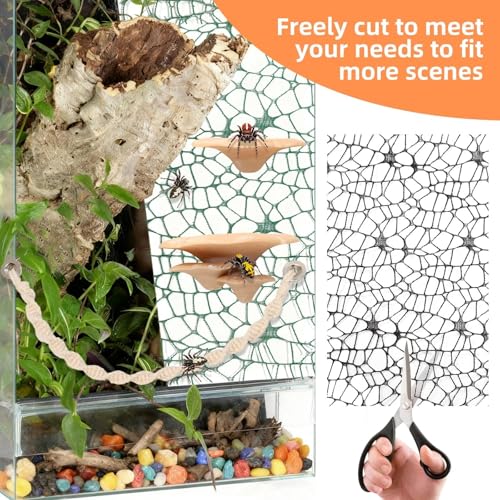 8 Pcs Jumping Spider Hide Enclosure Habitat, Spiders Hideout Climbing Rope Bridge Swings & Web, Mushroom Shelf, Jump Platform with Magnets for Pet Spider Habitat Accessories