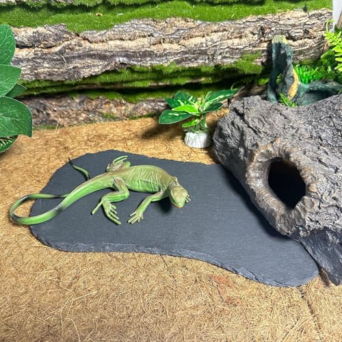 Tfwadmx Reptile Basking Platform,11''x5.5'' Tortoise Rock Plate Feeding Food Bowl Dish Feeding Slate Turtle Bathing Resting Platform for Lizard Gecko Bearded Dragon Chameleon Snake Frog - size: 11''x5.5''(1PCS)