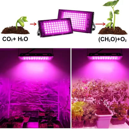 Grow Lights for Indoor Plants, LED Full Spectrum Grow Light with 150° Rotation Panel for Succulents, Seed Starting, Waterproof Plant Light for Indoor Gardening, Greenhouse & Hydroponics, 50 LED Chip - size: 4.9 × 1.2 × 9.1