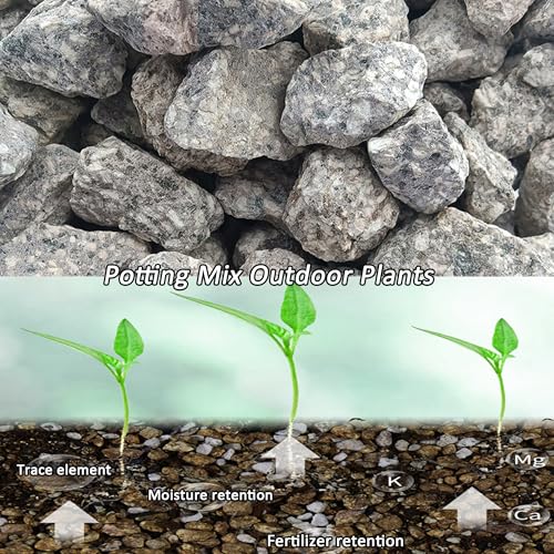 Succulent Cactus Soil Potting Mix:Indoor Bonsai Soil for Plants,Orchid Potting Mix,Aquarium Rocks for Fish Tank,Gardening DIY Gravel for Plants,Drainage and Breathable,2.2 lbs/1kg (2.2 lbs) - style: 2.2 lbs