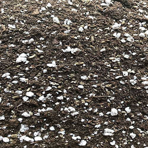 rePotme African Violet Imperial Potting Soil Mix - Mini Bag - color: African Violet, size: Mini Bag - 2 Quarts