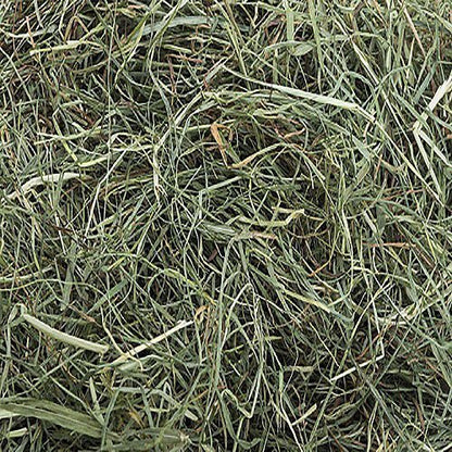 Small Pet Select 3rd Cutting "Super Soft" Timothy Hay Pet Food, 20 Lb. - size: 20 Pound (Pack of 1)