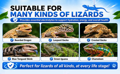 Pet Lizard D3 Calcium Powder—Organically Extracted—Powder (2.82 oz)