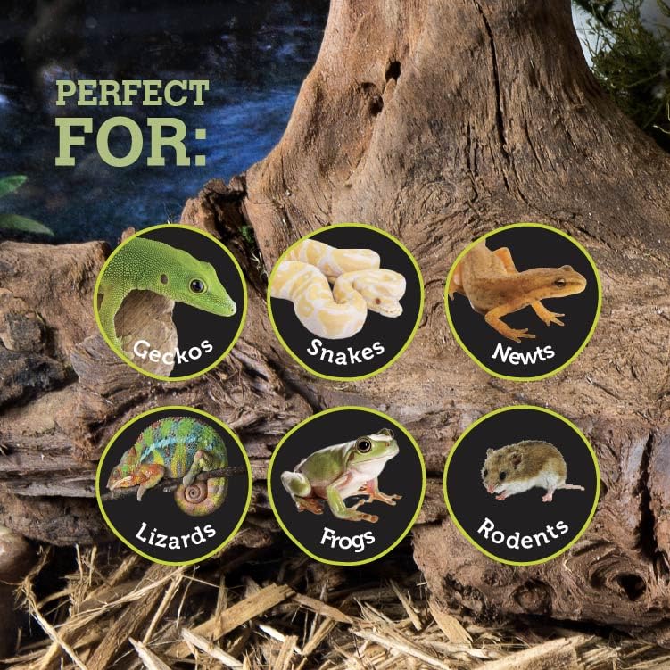 Galápagos (05368) Mossy Dome Hide - Natural Corner Cave for Reptile Enclosures, Terrariums, and Tanks, 9", Vined Green Moss