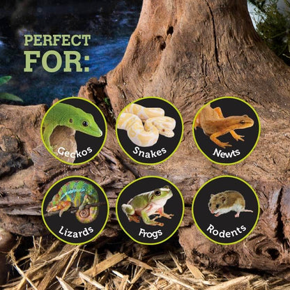 Galápagos (05368) Mossy Dome Hide - Natural Corner Cave for Reptile Enclosures, Terrariums, and Tanks, 9", Vined Green Moss