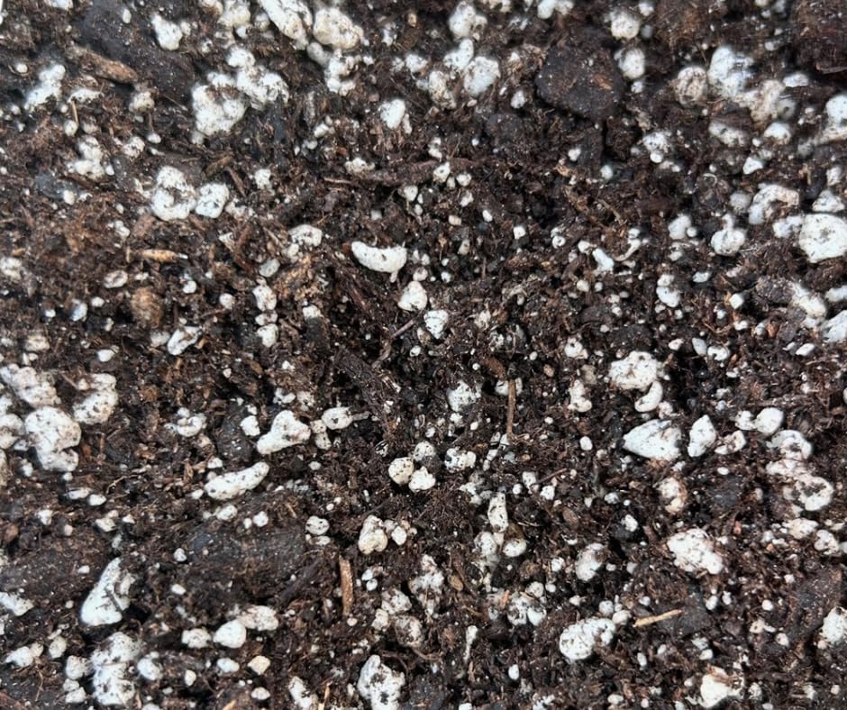 Sungro Horticulture Succulent Cactus Potting Mix - Fast Draining, Black Gold - 8 Qt - Earthworm Castings, Pumice, Perlite