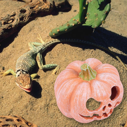 POPETPOP Pumpkin Shaped Resin Reptile Hideout Aquarium Decor Small Pet Hide Cave 3.93 Inch Halloween Habitat for Lizards and Shrimp
