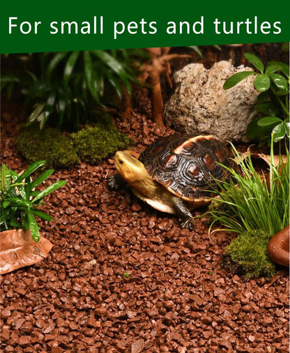 Horticultural Calcined Clay Soil Bonsai Cactus Soil Additive for Succulent Plants (10 LB, 1/8 inch) - style: 10 LB