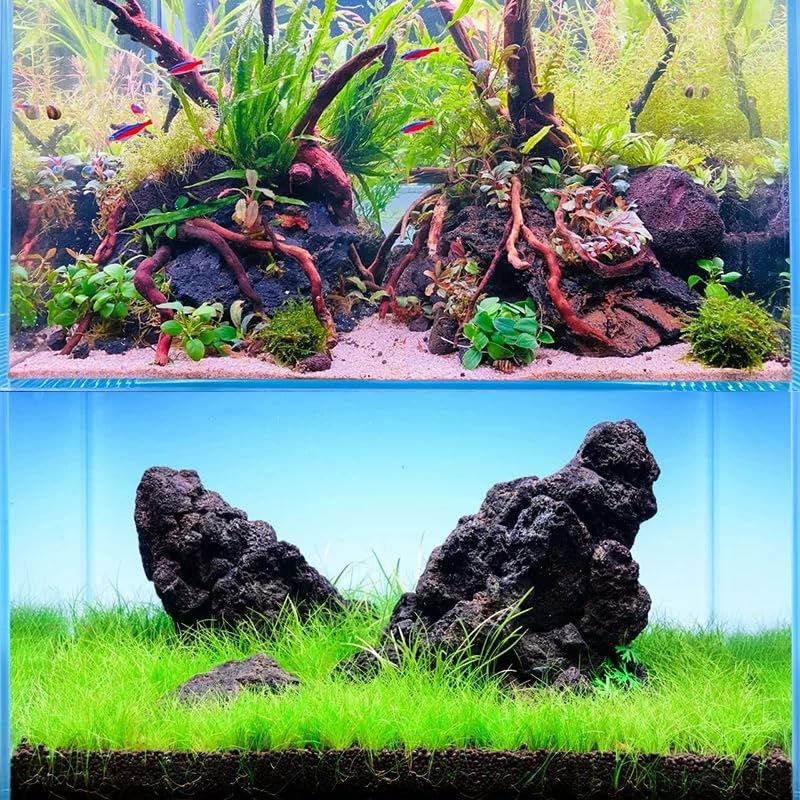 Black Lava Rocks 5lb Natural Volcanic Stone for Aquarium Fire Pit Succulent Planters Bonsai Garden Landscaping Decor,3 Pcs 4-6 inches - size: 5LB(3pcs)4-6in.